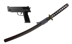 （5）槍支、刀劍類及其他可能用於犯罪的物品