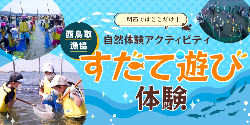 関西でここだけ！ 西鳥取漁協 自然体験アクティビティ すだて遊び体験