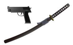 (5) Guns, swords and anything possibly used for a crime