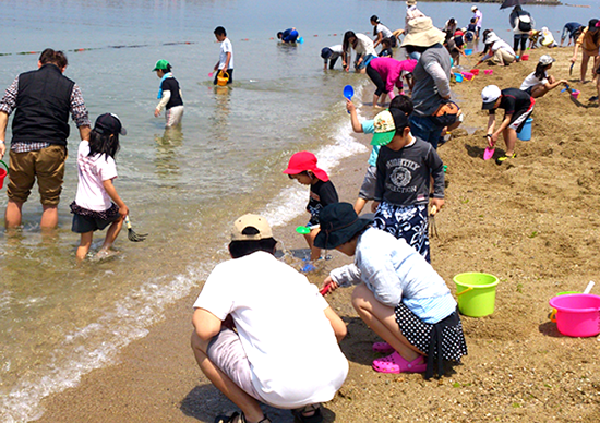 Fun for grown-ups too! Seashell Digging in Pichipichi Beach