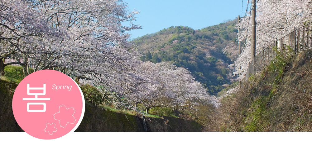 Spring