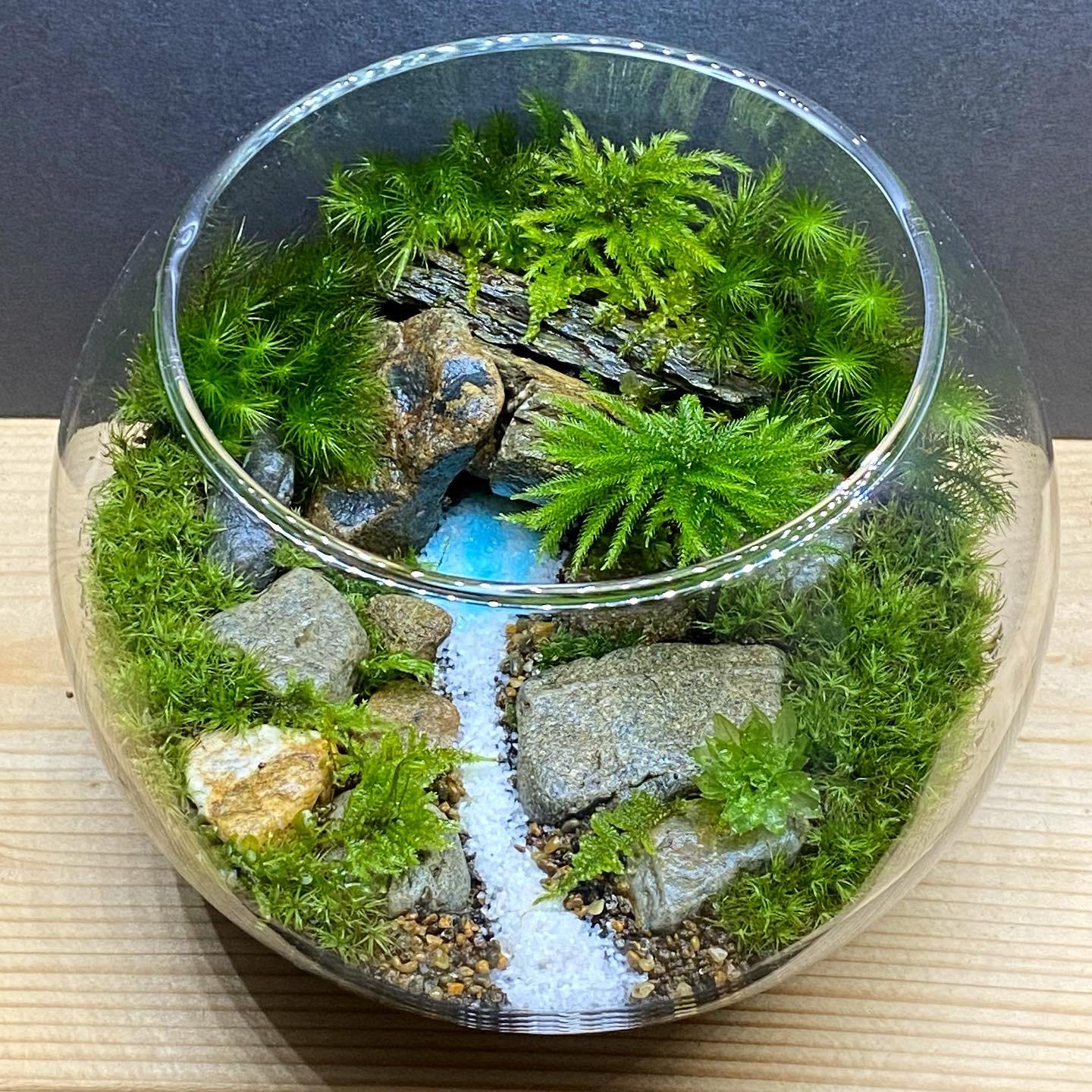 苔テラリウムワークショップ