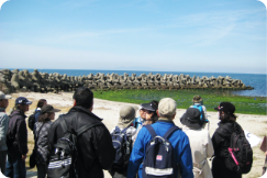 浜街道・尾崎を往く