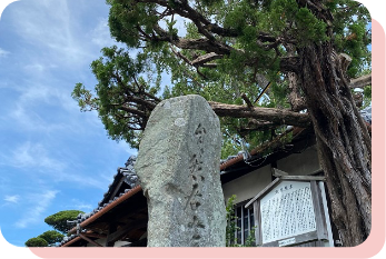 自然居士の大いちょう