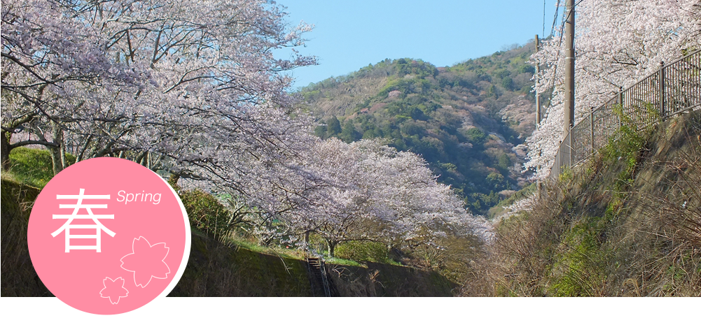 Spring