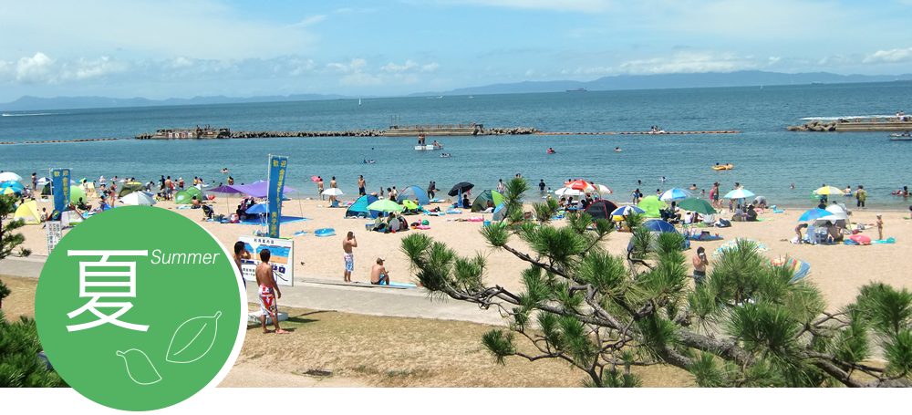 Summer