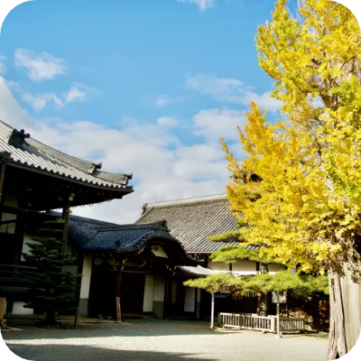「煎茶」×「和食」體驗