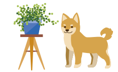 （3）動物、植物、魚貝類